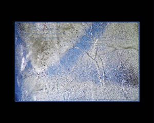 ice-art-1.jpg